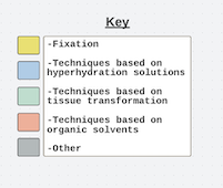 Colors Key