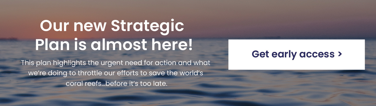 New call-to-action