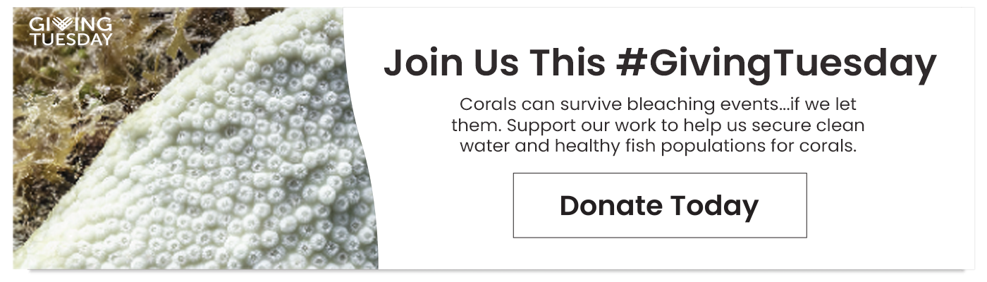 New call-to-action
