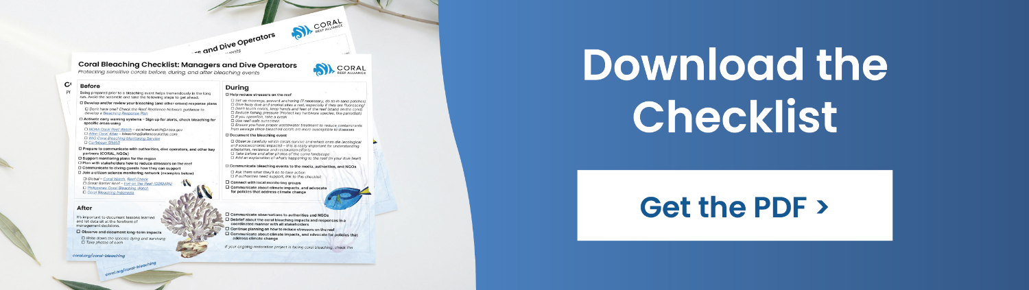 Download the checklist - get the PDF