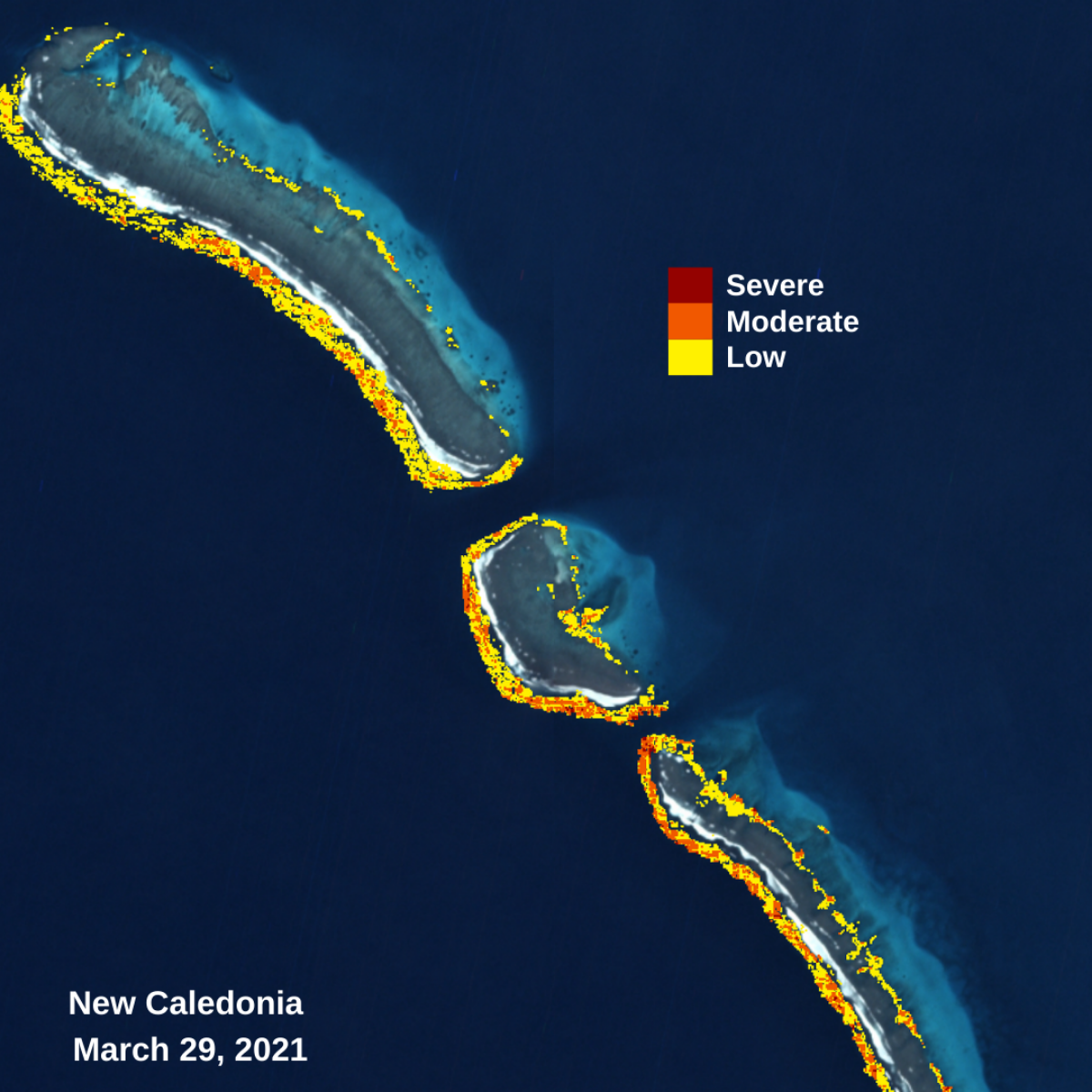 Close up of Allen Coral Atlas bleaching monitoring tool