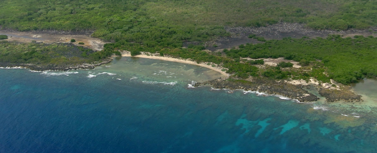 Roatan coastline