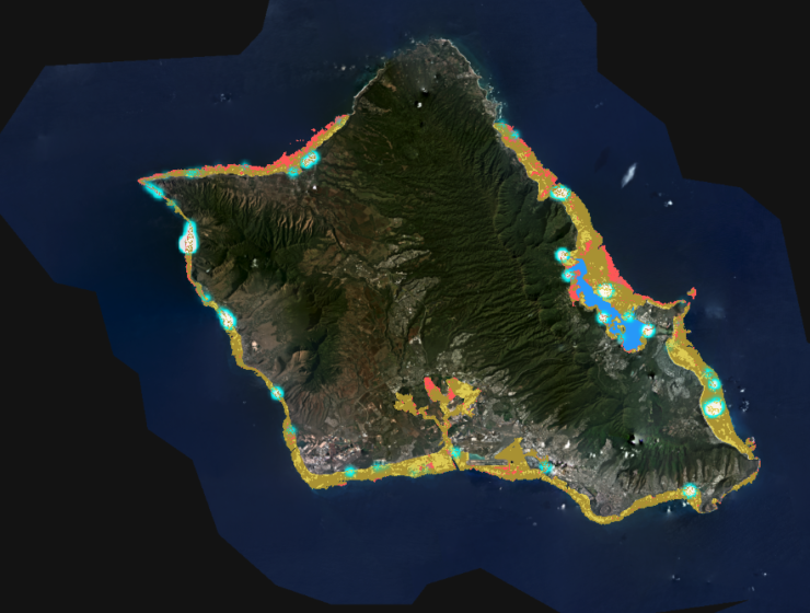 Screen shot of the Allen Coral Atlas